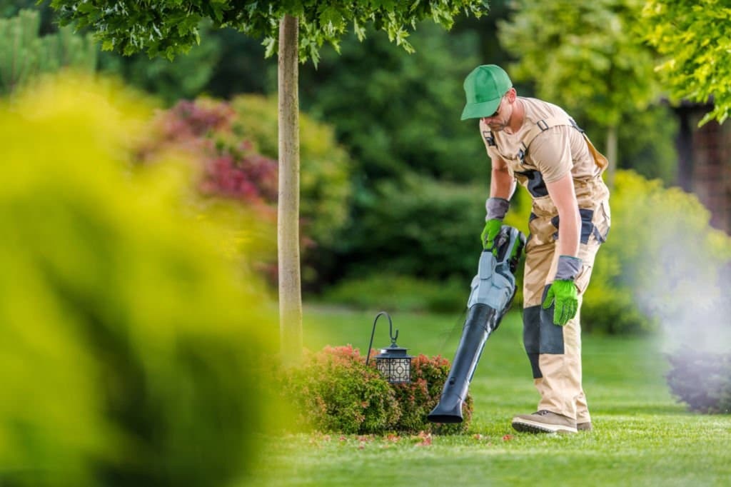 Regular Garden Maintenance