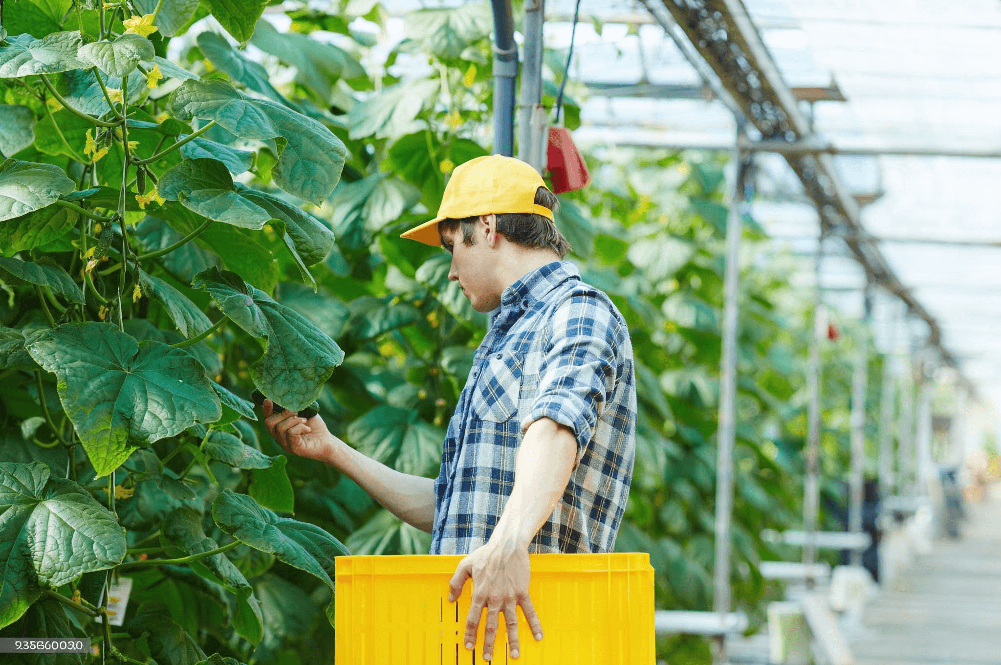 Watering System Assessment