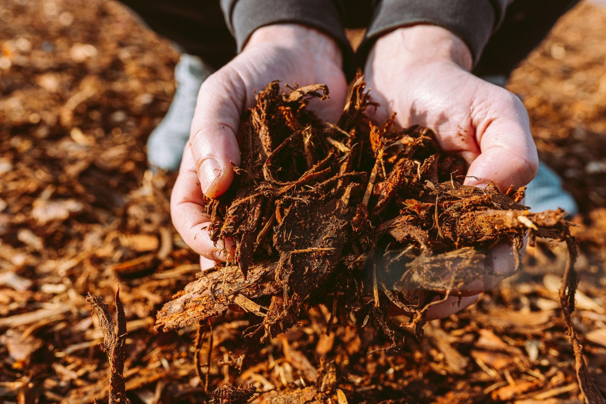 Mulching Services