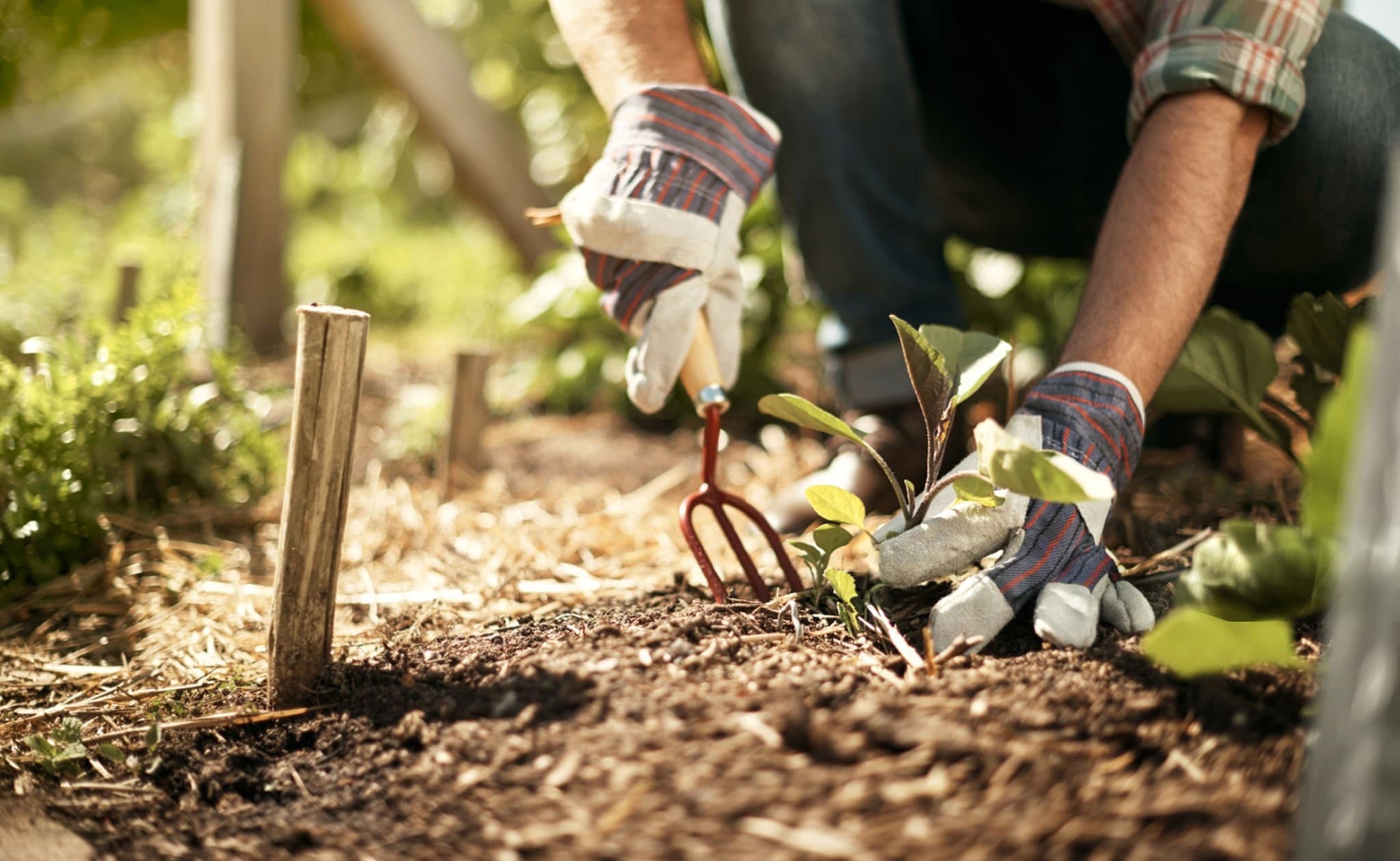 Planting Services